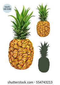 Beautiful hand drawn vector illustration background with pineapple, isolated on white background.