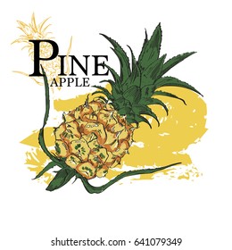 Beautiful hand drawn vector illustration background with pineapple.