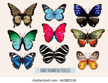Beautiful hand drawn  vector illustration with butterflies. Isolated on white background.