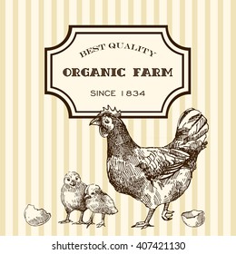 Beautiful hand drawn vector sketch illustration chicken. Eco market.