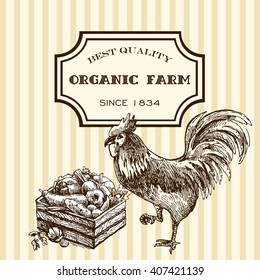 Beautiful hand drawn vector sketch illustration chicken. Eco market.