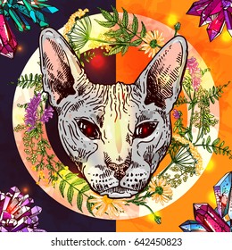 Beautiful hand drawn vector sketch portrait of bald cat. Tattoo style.