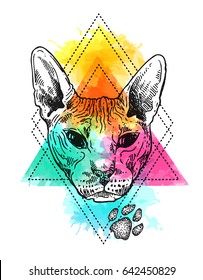 Beautiful hand drawn vector sketch portrait of bald cat. Tattoo style.