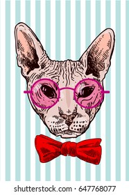 Beautiful hand drawn vector sketch portrait of bald cat. Tattoo style.