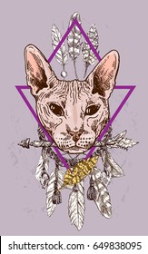 Beautiful hand drawn vector sketch portrait of bald cat. Tattoo style.