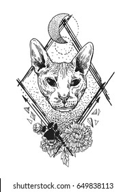 Beautiful hand drawn vector sketch portrait of bald cat. Tattoo style.