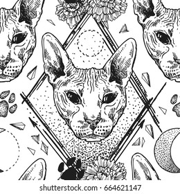 Beautiful hand drawn vector sketch portrait of bald cat. Tattoo style. Seamless pattern for textile.