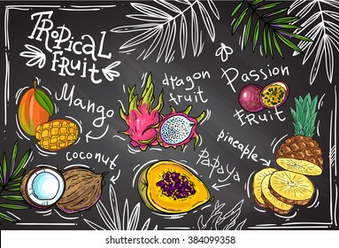 Beautiful hand drawn vector tropical fruits for your design