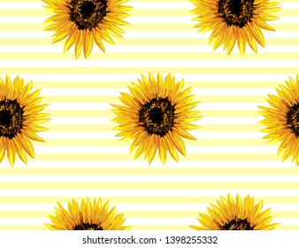 Beautiful hand drawn vintage floral pattern background with  sunflowers on abstract background. Seamless vector texture.Summer bright floral pattern. Perfect for all kind of prints.Hand drawing style