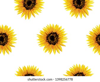 Beautiful hand drawn vintage floral pattern background with  sunflowers. Seamless vector texture. Summer bright floral pattern. Perfect for all kind of prints. Hand drawing style. 