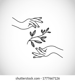 Beautiful hand with a flower line vector