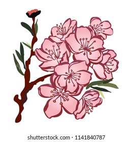 Beautiful Hand Written Vector Cherry Blossom Branch - Japanese Traditional Eve. Sakura Flower Beauties. Floral Pink Colored Springtime Nature Decoration Design