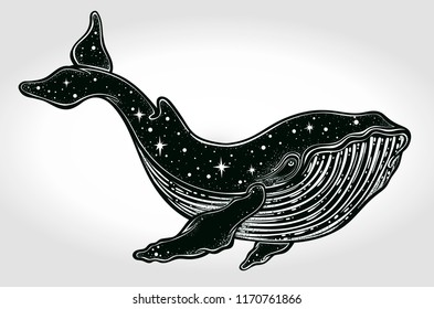 Beautiful hand-drawn artwork of whale with night sky in its back. Tattoo art, graphic, t-shirt design, postcard, poster design, coloring books,spirituality. Vector illustration.
