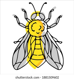 beautiful hand-drawn bee in doodle style. insect yellow and gray. natural bee honey. Vector illustration isolated on white background.