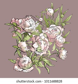 Beautiful hand-drawn bouquet of pink peonies. Vector illustration