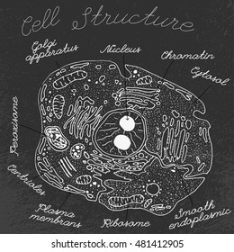 Beautiful handdrawn cell drawing in dark grey and white colours. Vector cell structure illustration with elements names in unique artistic style on a textured background. Biology creative concept.