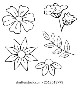 Beautiful Handdrawn Floral Illustrations Perfect for Various Creative Projects and Purposes