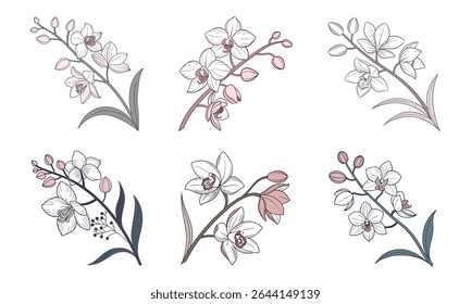 Beautiful hand-drawn orchid flower branch collection featuring six elegant floral designs.