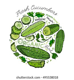 Beautiful handdrawn pattern in bright green colours. Vector illustration with cucumbers in unique artistic style on a white background. Natural and organic food creative concept.