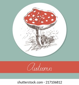 Beautiful hand-drawn wild mushroom. Vector illustration.