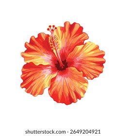 A beautiful, hand-painted watercolor illustration of a single tropical hibiscus flower in vibrant red, orange, and yellow. Isolated on white for easy use in designs.
