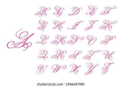 Hermoso vector de letra manuscrito Para apoyar el mensaje de boda