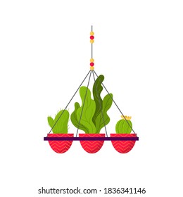 Beautiful hanging plants, potted home indoor garden. Vector illustration isolated on white background. Trendy house decor icon. Deciduous plant and cactus. Houseplant with big green leaves in pink pot