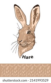 Beautiful hare head of  wild animal living in nature with a print texture of the skin