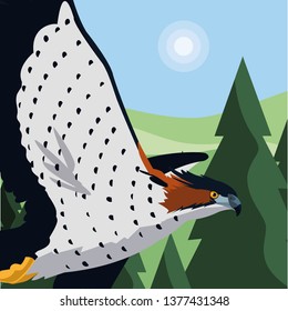 beautiful hawk flying majestic bird in the landscape