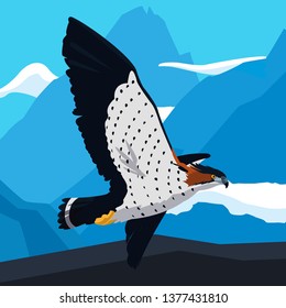 beautiful hawk flying majestic bird in the landscape