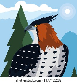 beautiful hawk majestic bird in the landscape