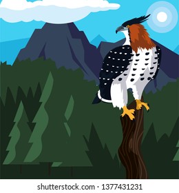 beautiful hawk in tree branch landscape scene