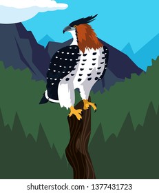 beautiful hawk in tree branch landscape scene