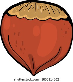 Beautiful hazelnut, illustration, vector on white background