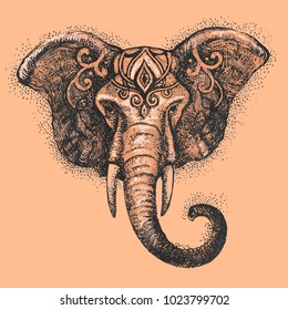 
Hermosa cabeza de elefante. elefante indio