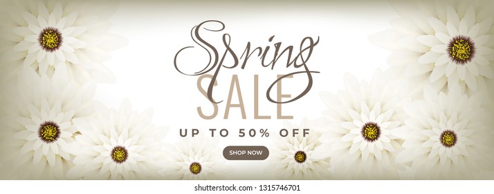 Beautiful header or banner design decorated with daisy flowers for Spring sale advertising concept.