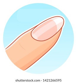 Beautiful healthy nail on the light blue background vector illustration. 