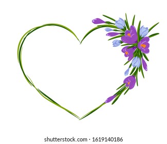 Beautiful heart frame with bouquet of crocuses. Vector illustration. Spring frame of violet and blue flowers and green leaves on white background