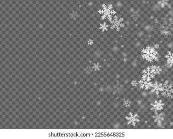 Hermoso patrón pesado de copos de nieve. Las nevadas cuelgan gránulos cristalinos. Composición transparente del cielo blanco de la nieve. La textura filipina de los copos de nieve de enero. El paisaje natural de la nieve.