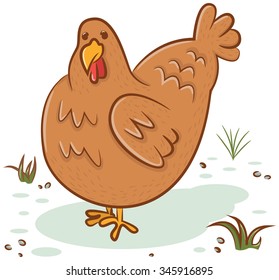 Beautiful hen isolated on white background