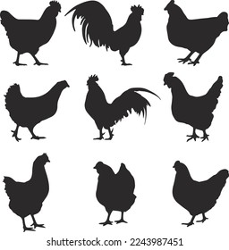 Beautiful Hen Silhouette Vector Art,Icon.