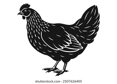 a beautiful hen with silhouette vector lllustration