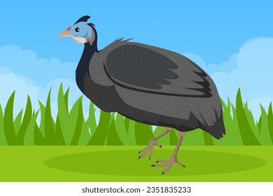 A beautiful Heron in the wild. Vector illustration