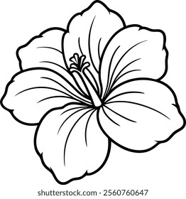 Beautiful Hibiscus Flower and Bud Vector Illustration in Line Art