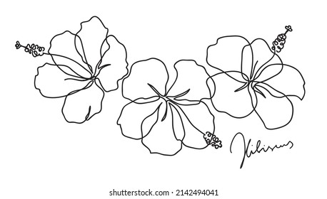 Beautiful hibiscus flower. Line art concept design. Continuous line drawing. Three blooming flowers. Vector illustration