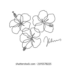 Beautiful hibiscus flower. Line art concept design. Continuous line drawing. Three blooming flowers. Vector illustration