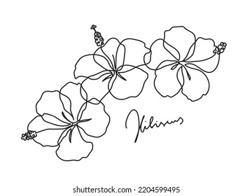 Beautiful hibiscus flower. Line art concept design. Continuous line drawing. Three blooming flowers. Vector illustration