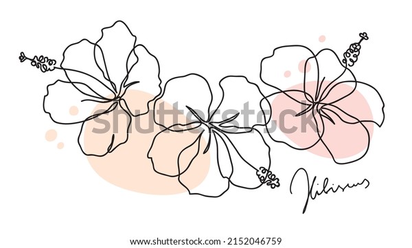 Beautiful Hibiscus Flower Line Art Concept Stock Vector (Royalty Free ...