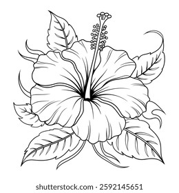 A beautiful Hibiscus flower makes a man fall in love with these flowers