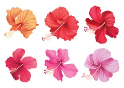 Beautiful Hibiscus Flowers On White Background. Vector Set Of Blooming Tropical Floral For Holiday Invitations, Greeting Card And Fashion Design.